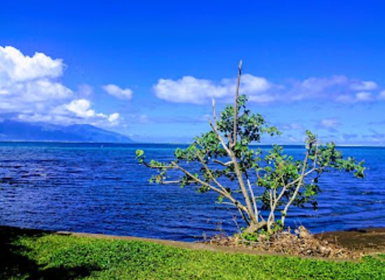 french-polynesia/windward-islands/attraction/source-vaima