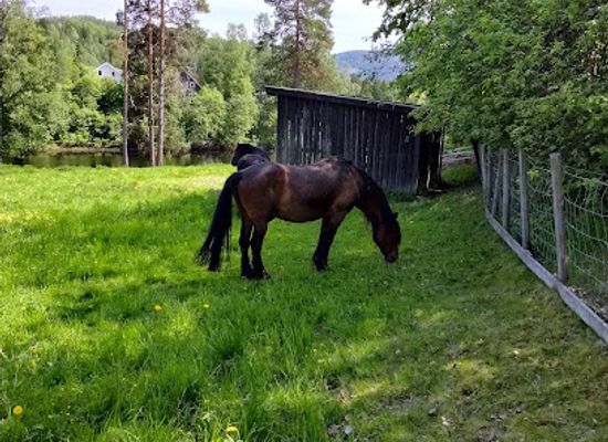norway/viken/attraction/barnas-bondegard