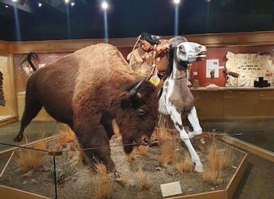 montana/great-falls/attraction/c-m-russell-museum