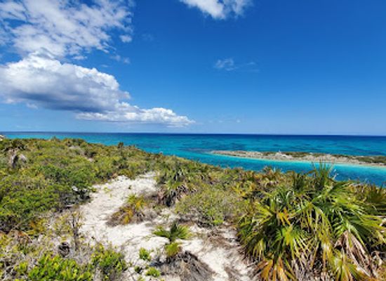 the-bahamas/exuma/attraction/powerboat-adventure-s-ship-channel-cay