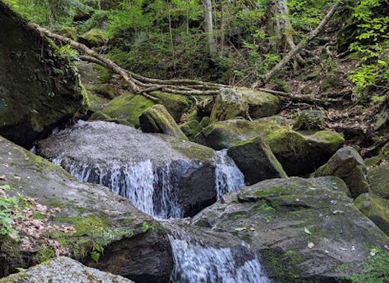pennsylvania/allegheny-national-forest/attraction/bent-run-waterfall