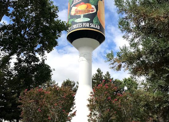 california/silicon-valley/attraction/libby-s-water-tower