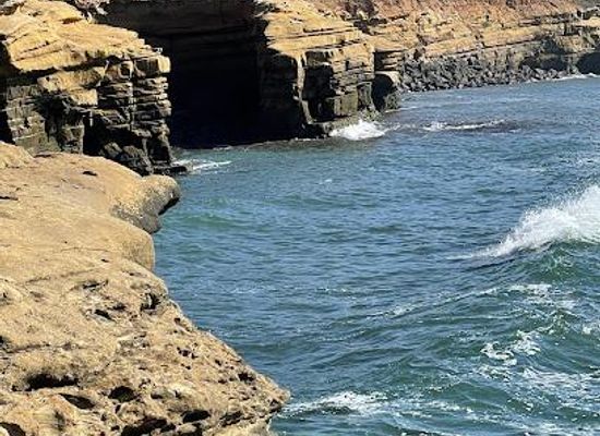 california/chula-vista/attraction/lifeguard-la-jolla-cove