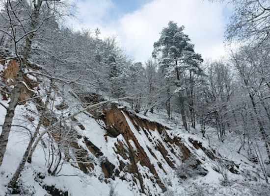 belgium/hautes-fagnes/attraction/point-de-vue-solwaster