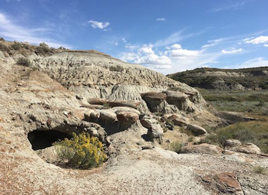 north-dakota/badlands/attraction/petrified-forest-loop