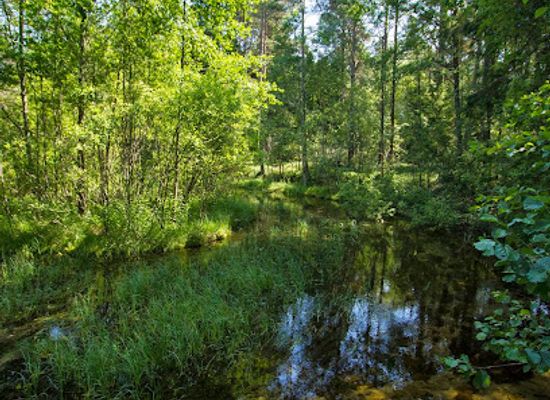 estonia/kuressaare-castle/attraction/odalatsi-allikad