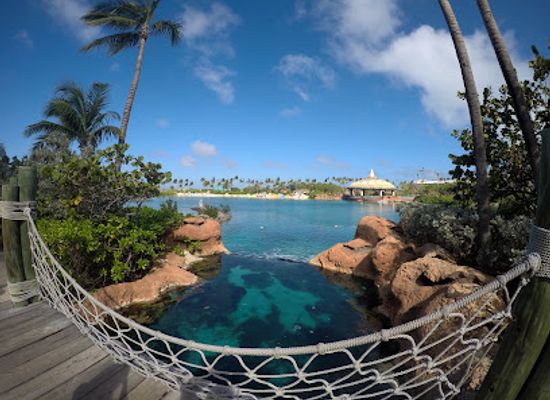 the-bahamas/new-providence/attraction/the-dig