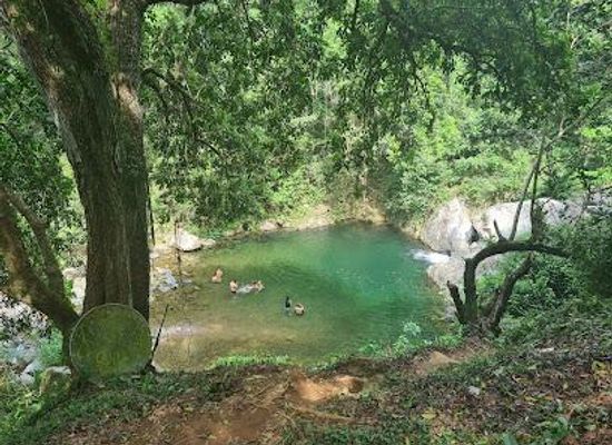 puerto-rico/isabela/attraction/mango-waterfall