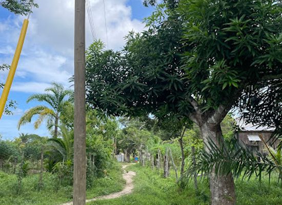honduras/gracias-a-dios-region/attraction/brus-laguna-gracias-a-dios