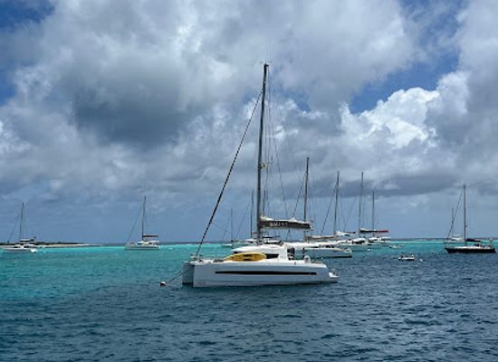 saint-vincent-and-the-grenadines/saint-andrew/attraction/tobago-cays
