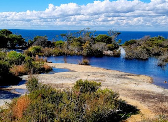 australia/sydney-basin/attraction/hanging-swamp