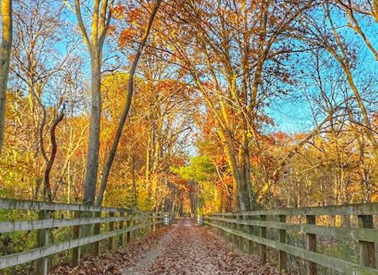 massachusetts/metrowest/attraction/bruce-freeman-rail-trail