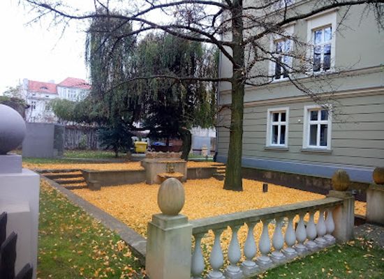 poland/bydgoszcz/attraction/pomnik-przyrody-nr-12-ginko-biloba-milorzab-japonski