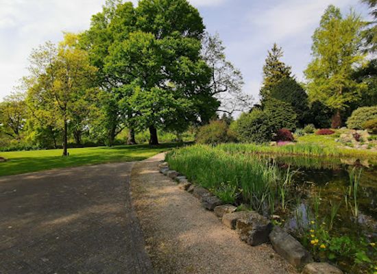 netherlands/betuwe/attraction/the-arboretum-dreijen-het-depot