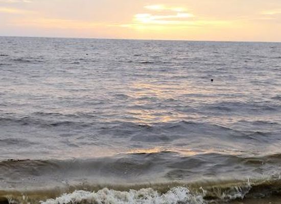 india/kochi/attraction/chethy-beach