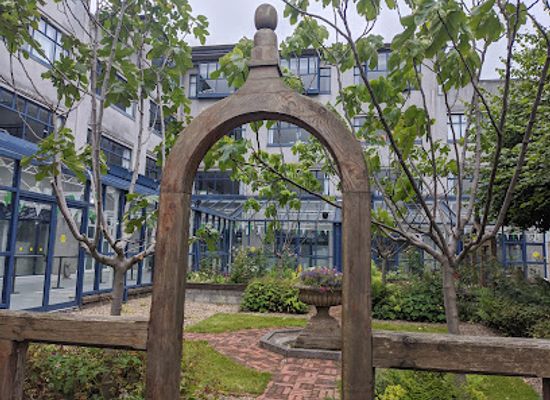 ireland/county-limerick/attraction/limerick-medieval-garden