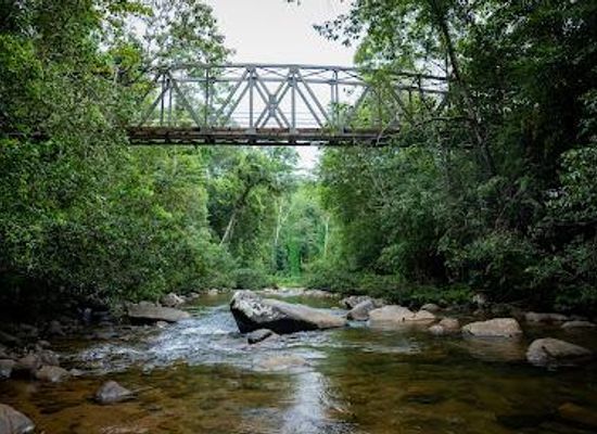 sri-lanka/galle/attraction/sinharaja-forest-reserve