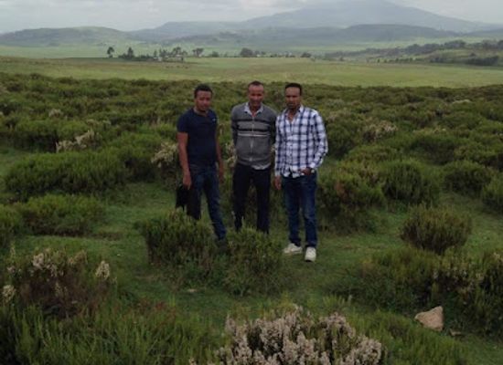 ethiopia/shewa/attraction/galema-park