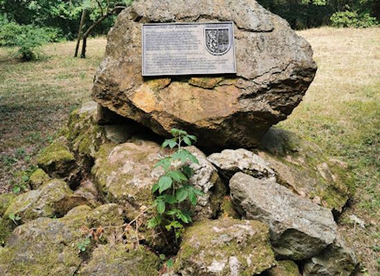 germany/palatinate/attraction/burgruine-tannenfels