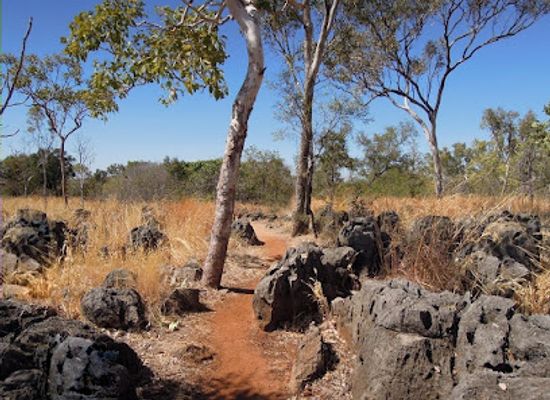 australia/top-end/attraction/cutta-cutta-caves-nature-park