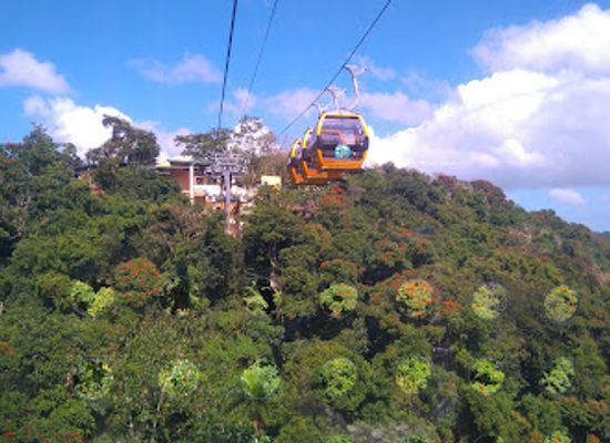 puerto-rico/south-region/attraction/la-marquesa-forest-park