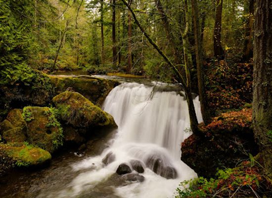 washington/deception-pass-state-park/attraction/whatcom-falls-park