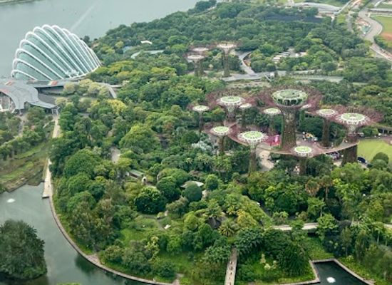 singapore/geylang/attraction/bryan-s-secret-singapore-tour