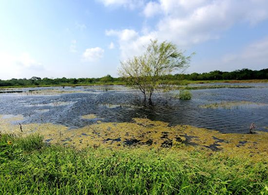 mexico/tamaulipas-coast/attraction/santa-ana-national-wildlife-refuge