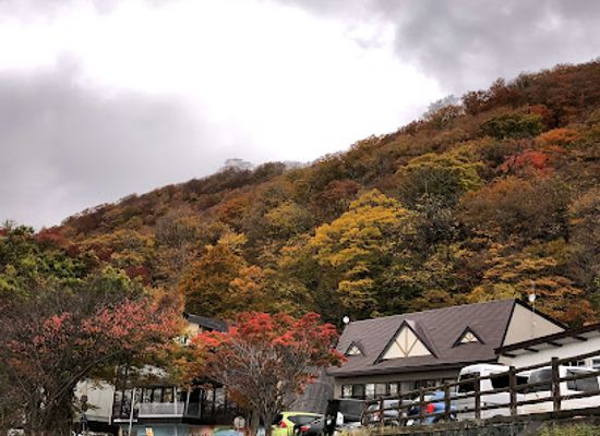 japan/tohoku/attraction/oirase-keiryu-gorge