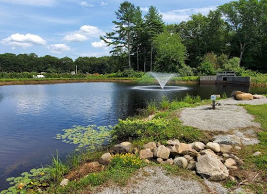 rhode-island/arcadia-management-area/attraction/leyden-farm-vineyard-winery