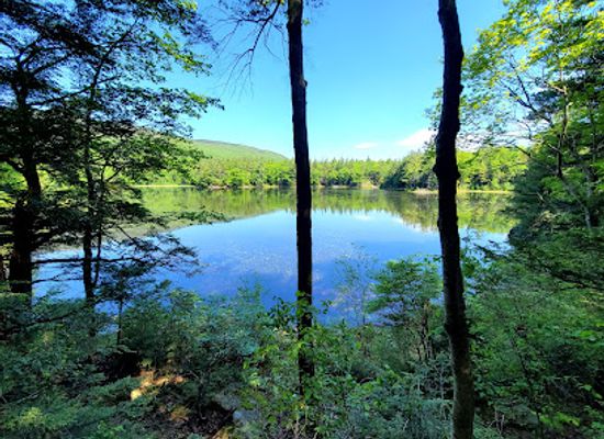 new-hampshire/lakes-region/attraction/monadnock-state-park