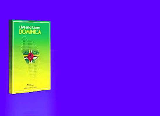 dominica/soufriere-bay/attraction/rexfortrue-services-ltd-live-and-learn-dominica-puzzle-books