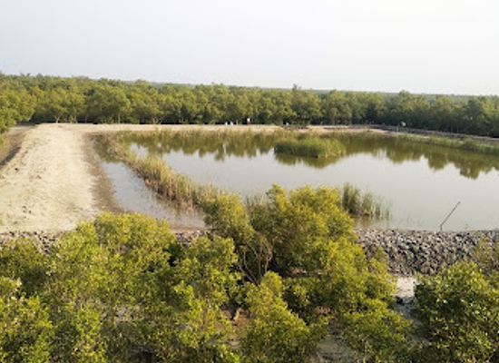 bangladesh/sundarbans-national-park/attraction/dobanki-watch-tower
