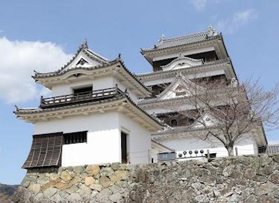 japan/iyo/attraction/ozu-castle