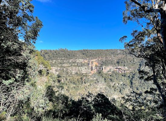 australia/central-victoria/attraction/dandongadale-falls