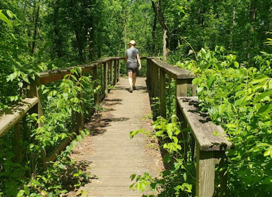 kentucky/louisville/attraction/louisville-nature-center
