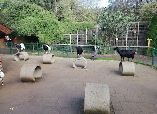 denmark/vejle/attraction/skarup-zoo