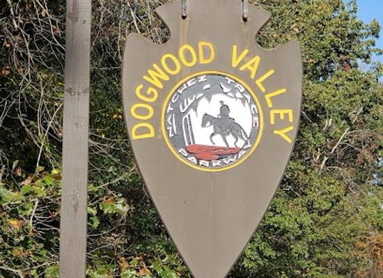 mississippi/natchez-trace-parkway/attraction/dogwood-valley