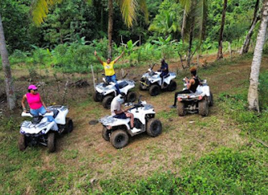 jamaica/cornwall-county/attraction/wah-gwaann-tours-and-attractions