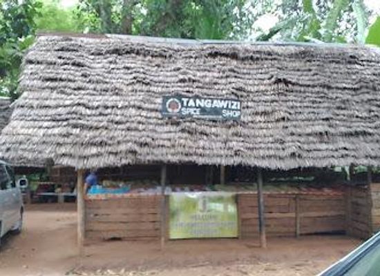 tanzania/stone-town/attraction/tangawizi-spice-farm
