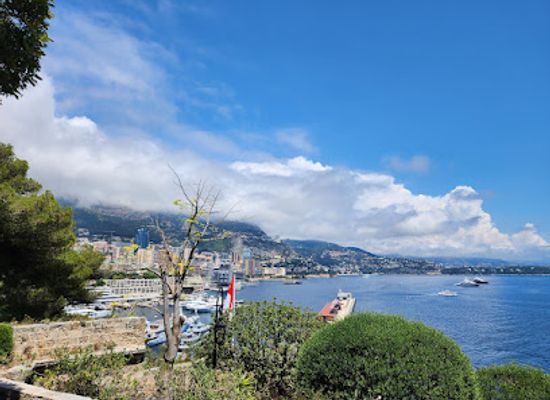 monaco/jardin-exotique-de-monaco/attraction/fisherman-s-garden