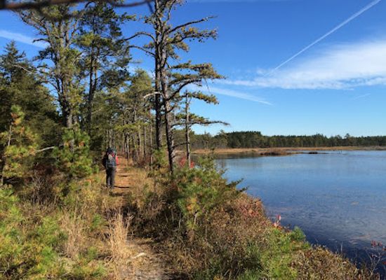 new-jersey/batsto-village/attraction/batona-trail