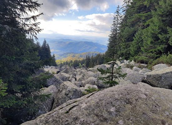 bulgaria/vitosha-mountain/attraction/viewpoint