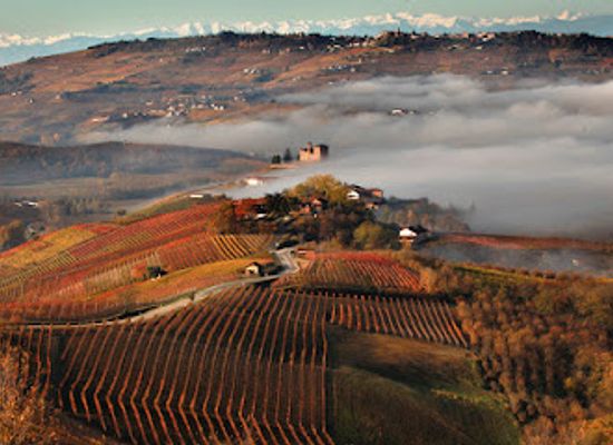 italy/roero/attraction/cantina-terre-del-barolo