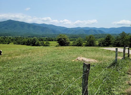 tennessee/great-smoky-mountains/attraction/cades-cove-picnic-area