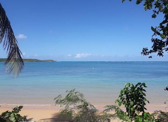 puerto-rico/vieques/attraction/reserva-natural-cabezas-de-san-juan-para-la-naturaleza