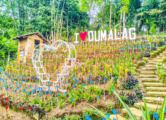 philippines/western-visayas/attraction/instaland