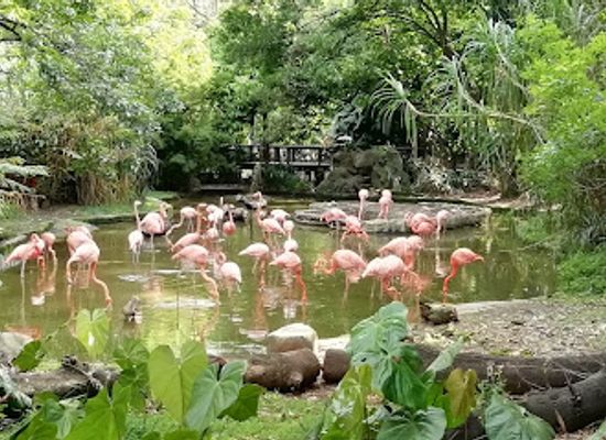 colombia/medellin/attraction/parque-de-la-conservacion