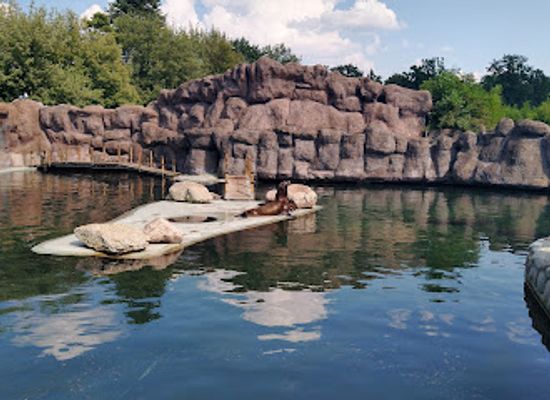 poland/opole/attraction/opole-zoo
