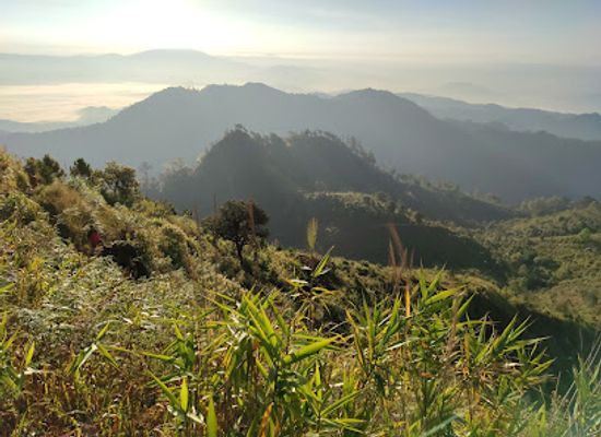 thailand/lanna/attraction/doi-miang